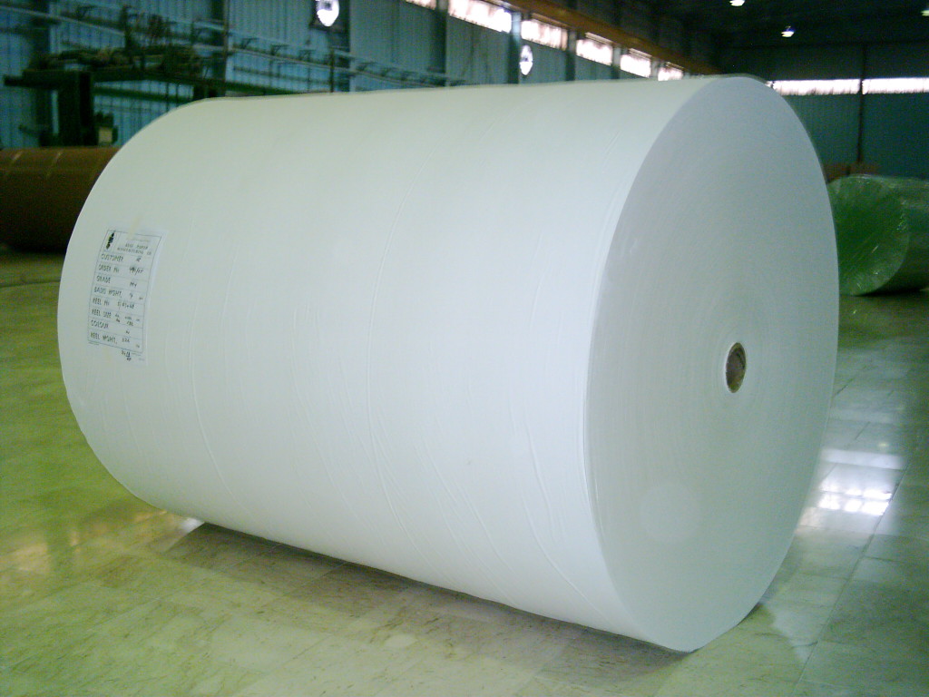 لفائف الجامبو - Gulf Paper Manufacturing Company - UAE